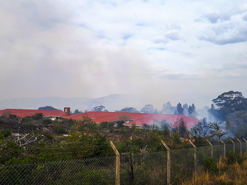 Settlers Hospital was prioritised, with teams on standby there who prevented the fire from reaching the buildings. The nurses home was evacuated as a precaution.