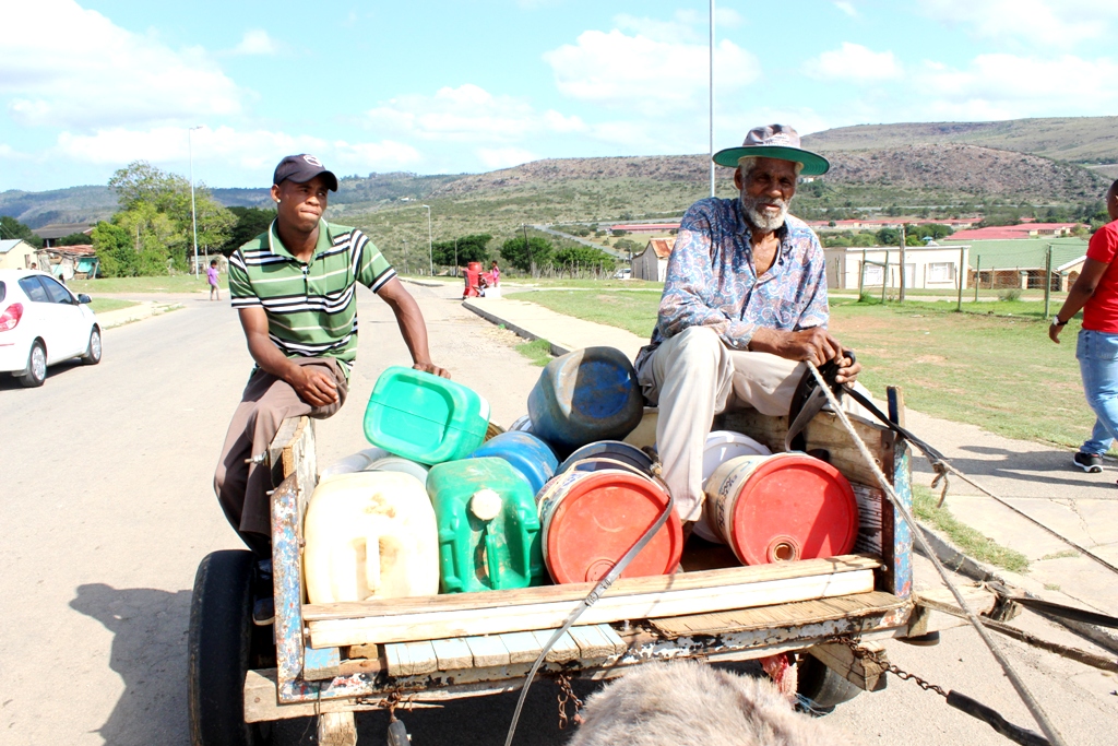 IMG_4492_donkey cart_WEB