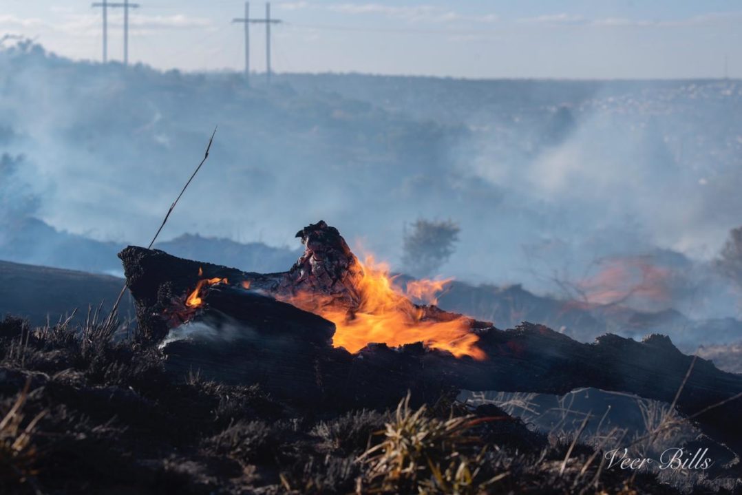 Tree stumps burn  during a veld fire on the southern commonage on Sunday 27 September.